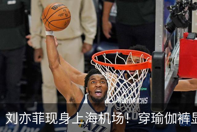 刘亦菲现身上海机场！穿瑜伽裤显腿粗屁股塌，三角区挤肉好尴尬