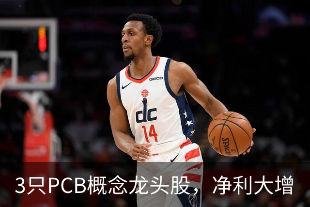 3只PCB概念龙头股，净利大增